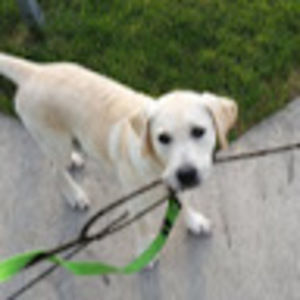 Meet your Posher, Katelyn